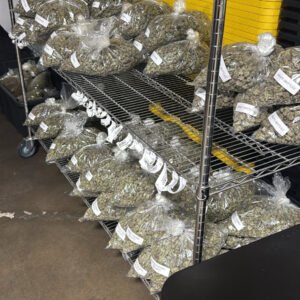 FLOWER STRAINS